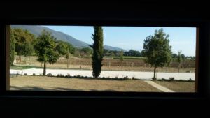 Interior of a countryside living room, with a view of surrounding trees and hills.