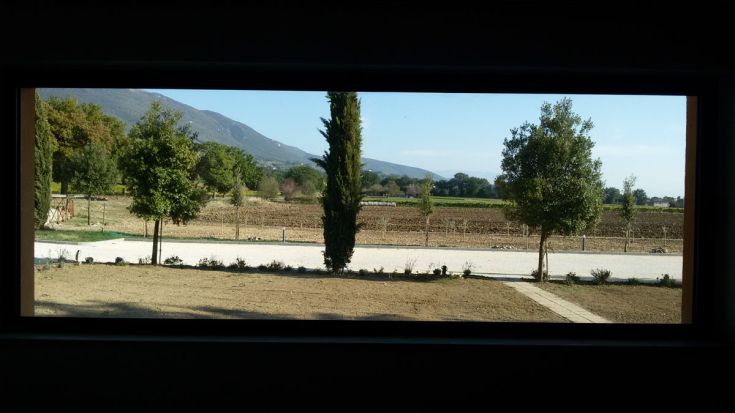 Ein Panorama einer Agrarlandschaft mit Bäumen und grünen Feldern.