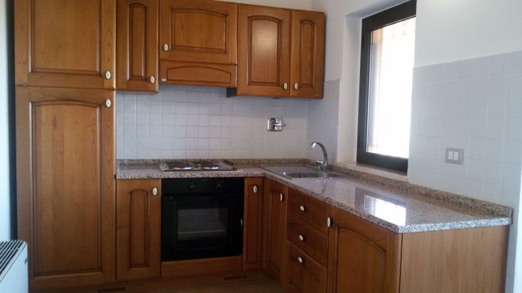 Moderne Holz-Küche mit Granitplatte, nahtlos integriertem Ofen und Spüle.