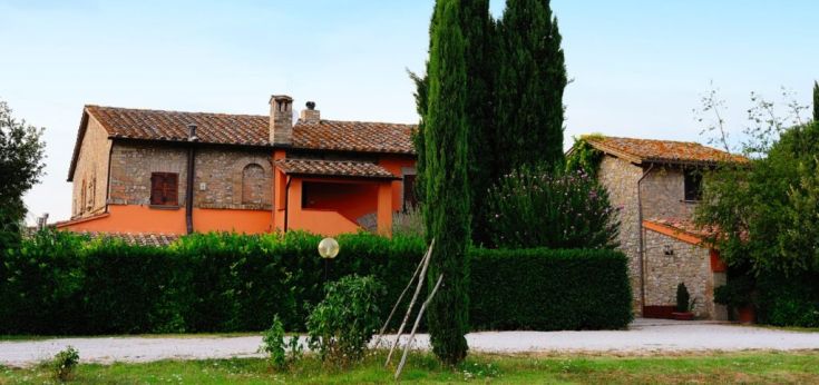 Ein Landhaus umgeben von Bäumen und grünen Pflanzen.