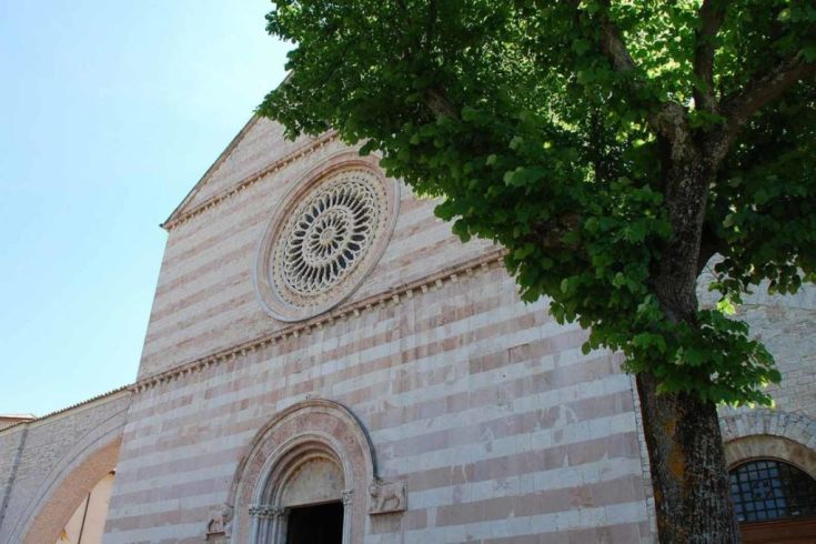 Romanische Fassadenszene, geschmückt mit einem großen Fensterrose und im Schatten eines Baumes.
