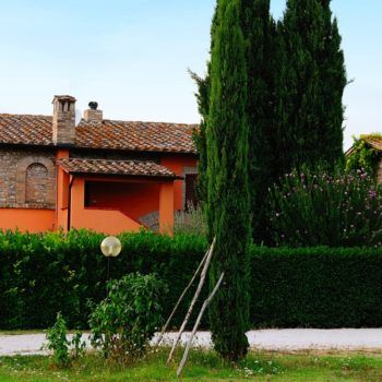 Eine ländliche Ecke mit einem Backsteinhaus, umgeben von gut gepflegten Pflanzen.