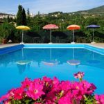 Ein ruhiger Pool, umgeben von Pflanzen und Sonnenschirmen.