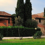 Eine ruhige Szene von Landhäusern, umgeben von Bäumen und Pflanzen, in einer natürlichen Umgebung.