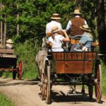 Eine von Pferden gezogene Kutsche, die Menschen transportiert, fährt durch eine natürliche Hügellandschaft.