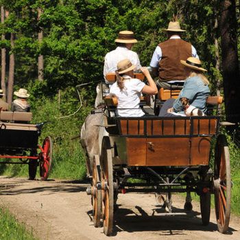 Eine Kutschenfahrt durch üppige grüne Landschaften, umgeben von Natur und Ruhe.