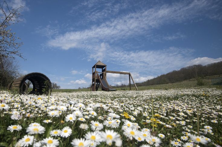 Un'area attrezzata per bambini circondata da un campo di fiori gialli e bianchi, sotto un cielo sereno.