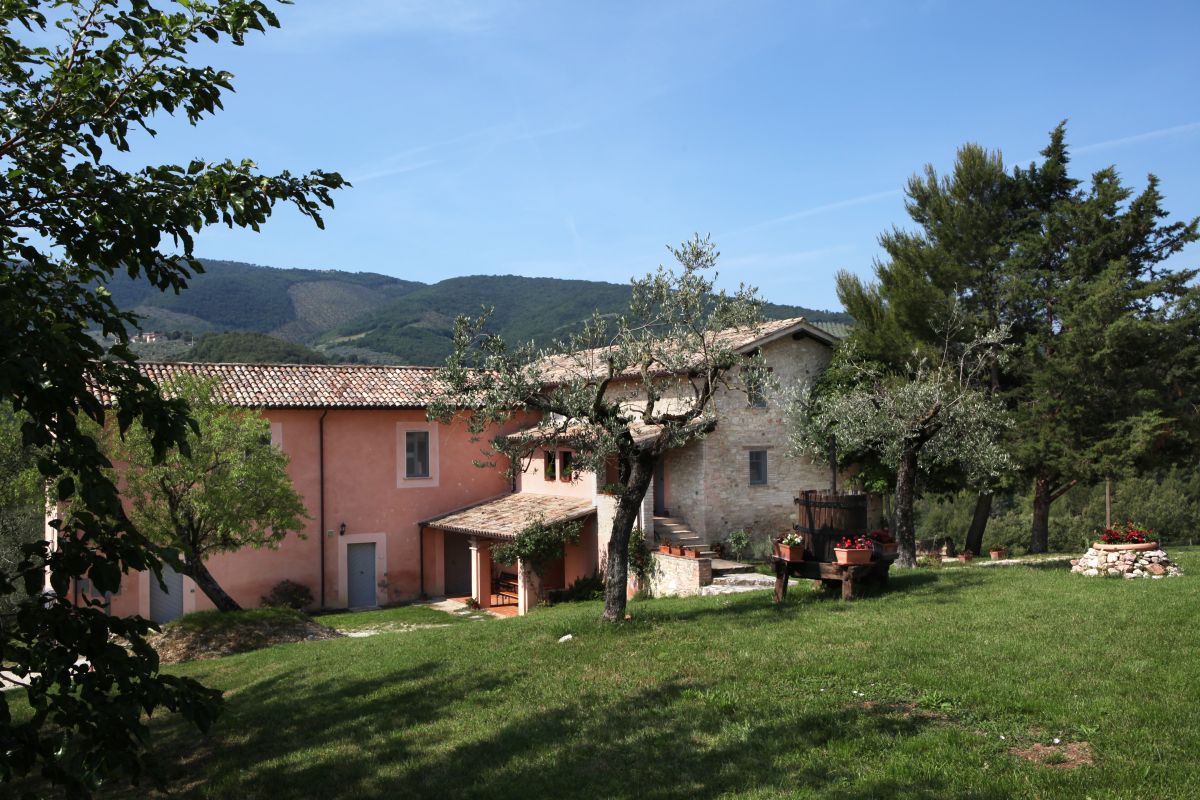 A peaceful estate nestled in greenery, surrounded by olive groves and hills, ideal for a relaxing break.