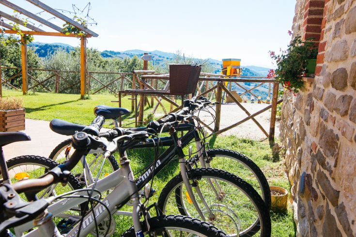 Bauernhof umgeben von Natur, ausgestattet mit Fahrrädern für entspannte Ausflüge.
