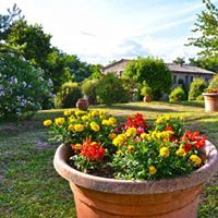A blooming garden at a countryside farmhouse, featuring a variety of plants and flowers.
