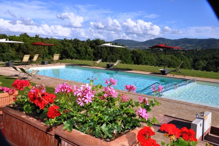 A pool surrounded by plants and rolling hills, perfect for relaxation and leisure moments.