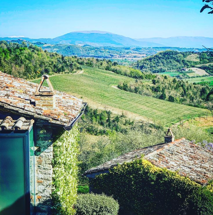 A serene landscape of the Umbrian countryside, featuring rolling green hills and distant vineyards.