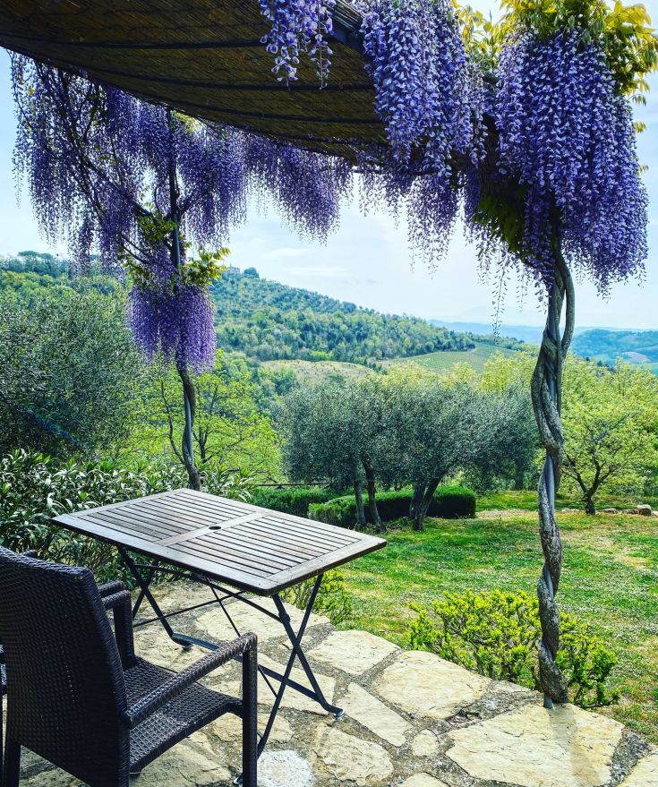 A serene area featuring a table and chair under a flowery pergola, surrounded by lush green hills.