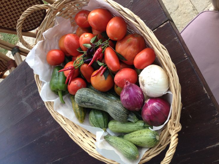 A basket filled with fresh tomatoes, bell peppers, and other vegetables.