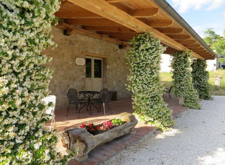 Farmhouse in the Umbrian countryside with comfortable rooms and a peaceful, relaxing atmosphere.