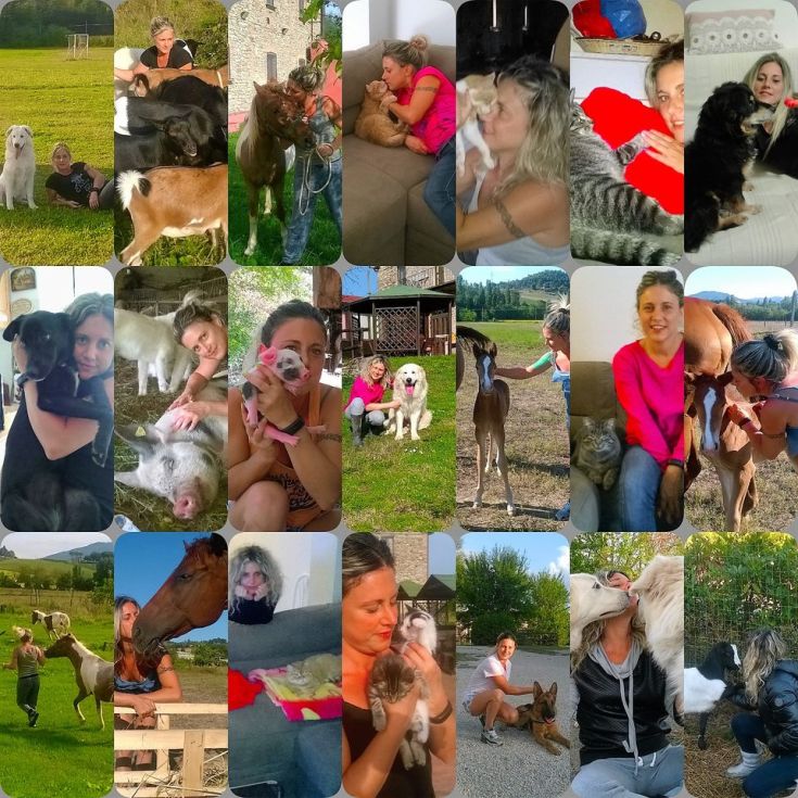 Zuneigung und Bindungen zwischen Tieren und Menschen in einer friedlichen ländlichen Umgebung.