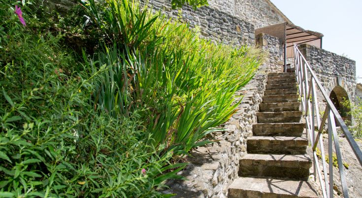 A garden located within the walls of an ancient convent, featuring lush vegetation and tranquil spaces.