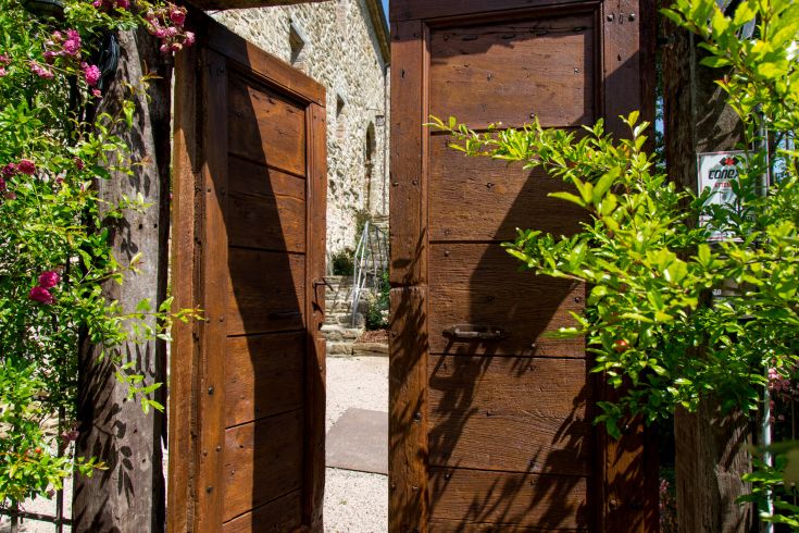An open wooden door surrounded by green plants, representing a calm and welcoming atmosphere of a rural area.