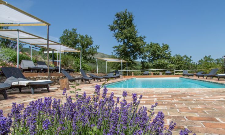 A cozy swimming pool surrounded by lush greenery, featuring typical Umbrian flowers and plants.