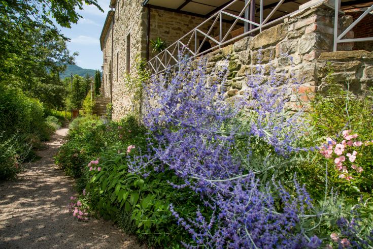 A green area with colorful flowers surrounded by plants, perfect for relaxation moments.