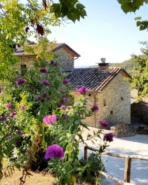 Une scène sereine avec des bâtiments en pierre entourés de verdure, de fleurs et de végétation luxuriante.