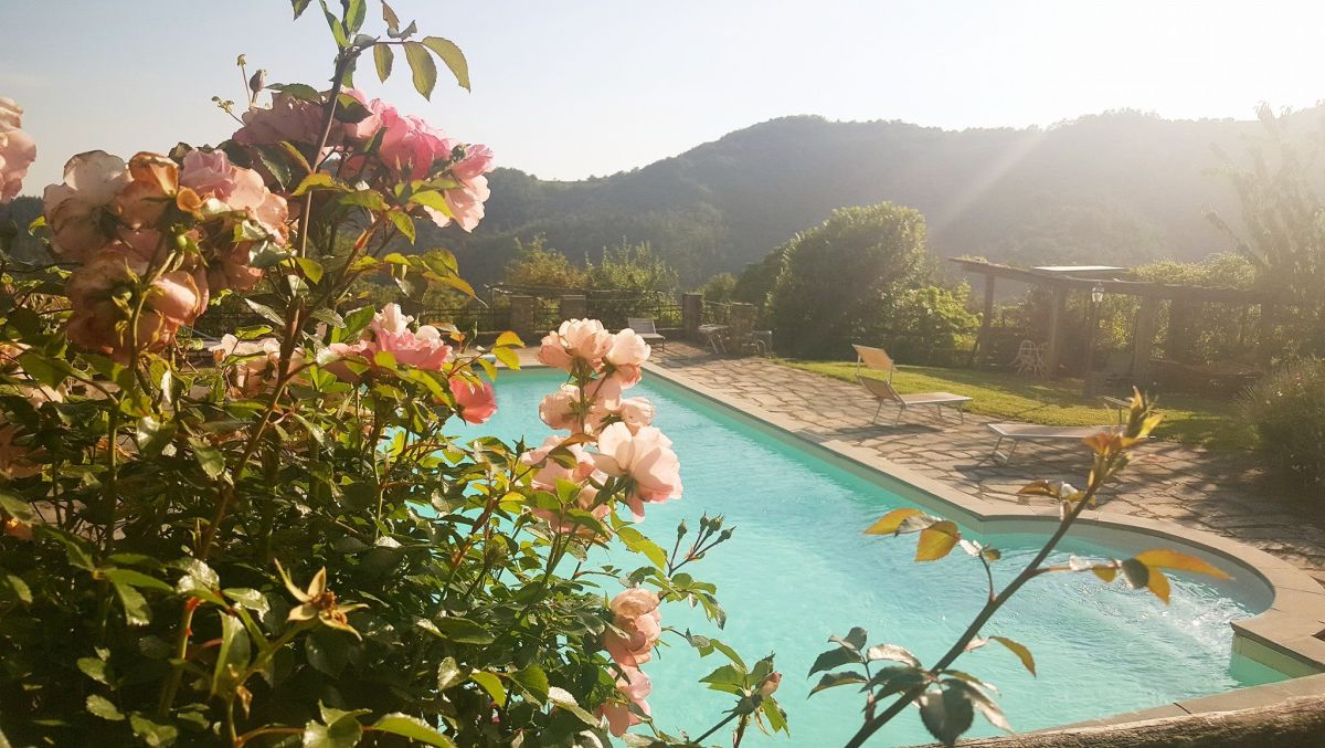 A pool surrounded by nature and roses, ideal for relaxing moments.