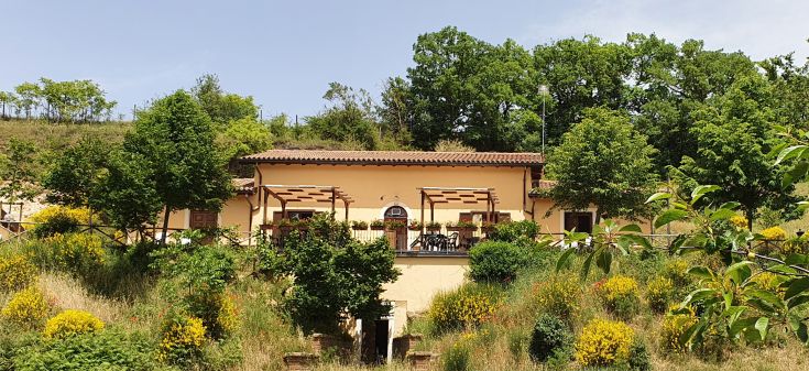 Une structure récente immergée dans la nature, accueillante et sûre, située près d'un lac et entourée d'arbres.