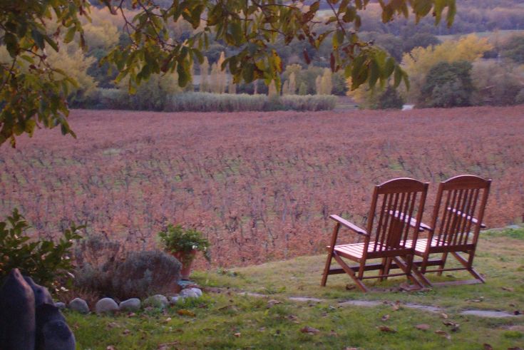 Zwei einfache Holzstühle stehen vor einem herbstlichen Weinberg mit warmen Farbtönen.