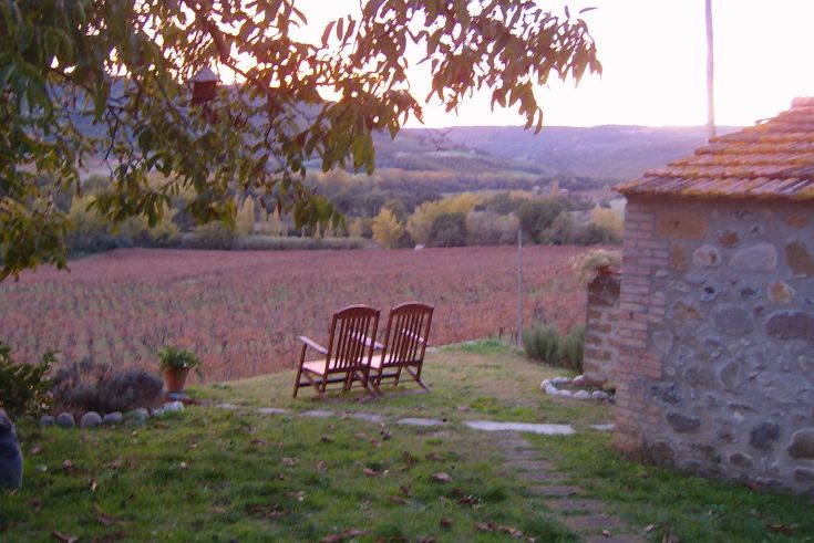 Eine ruhige Szene zwischen den Weinbergen, beleuchtet vom warmen Licht des Sonnenuntergangs.