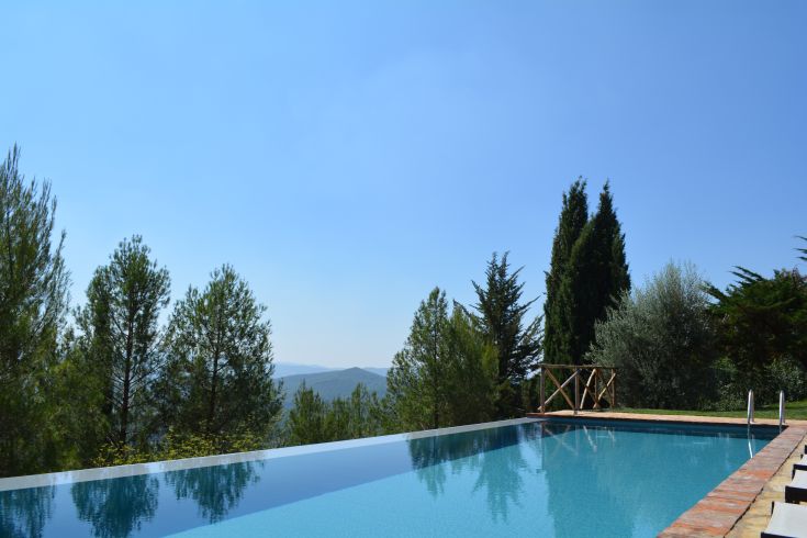 Una piscina immersa in un ambiente verde e tranquillo, circondata da alberi e prato.