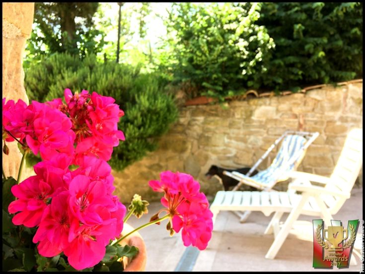 Fiori rosa in evidenza, con un giardino tranquillo sullo sfondo, dove si vedono sedie a sdraio in legno.