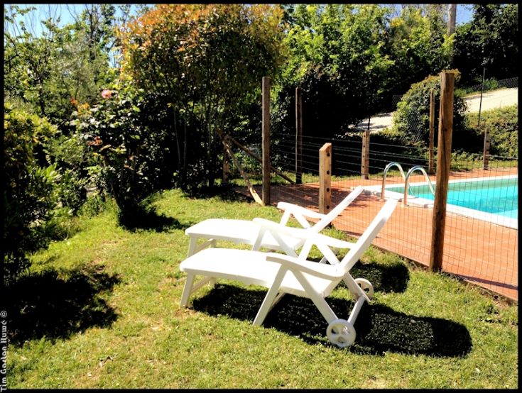 Due lettini bianchi circondati da piante verdi, situati accanto a una piscina di colore azzurro, perfetti per momenti di relax.
