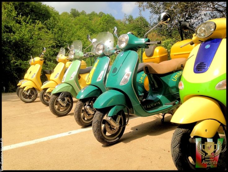 Vespe di diverse colorazioni parcheggiate in un'area circondata dalla vegetazione.