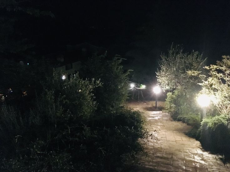Un percorso illuminato da lampioni, in una notte serena, circondato da vegetazione.