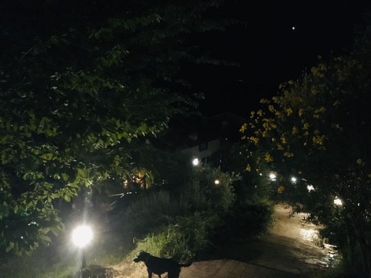 Panorama notturno con luci che illuminano la vegetazione circostante in un'atmosfera rilassante.