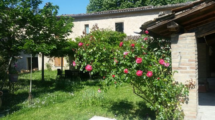 Un giardino curato con fiori colorati, che si trova davanti a un edificio rustico. Ambiente sereno.