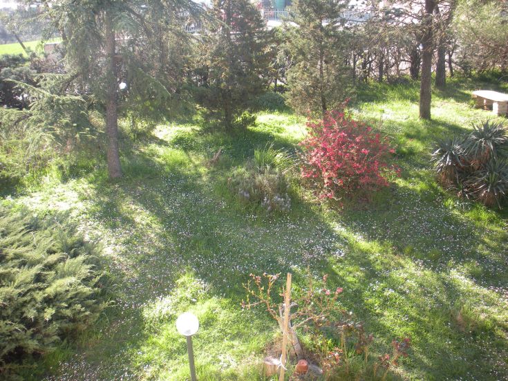 A cozy outdoor space with colorful plants and flowers, perfect for spending time in tranquility.