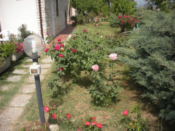 A beautifully maintained garden with roses of various colors and a small fountain as the central feature.