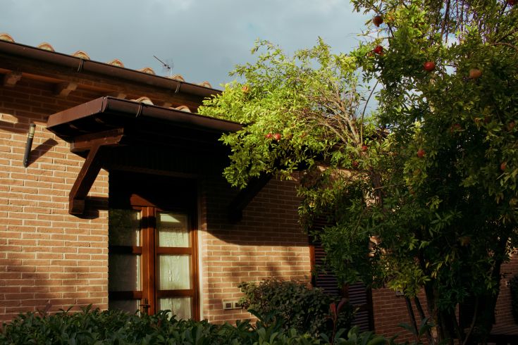Un'abitazione per le vacanze immersa nel verde, con alberi e piante da frutto nei dintorni.