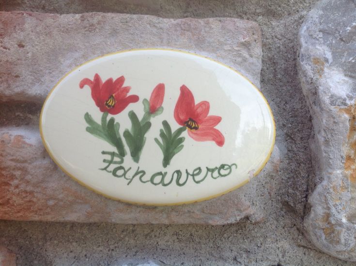 Piastrella decorativa con papaveri rossi su una parete in pietra, che richiama uno stile semplice e rustico.