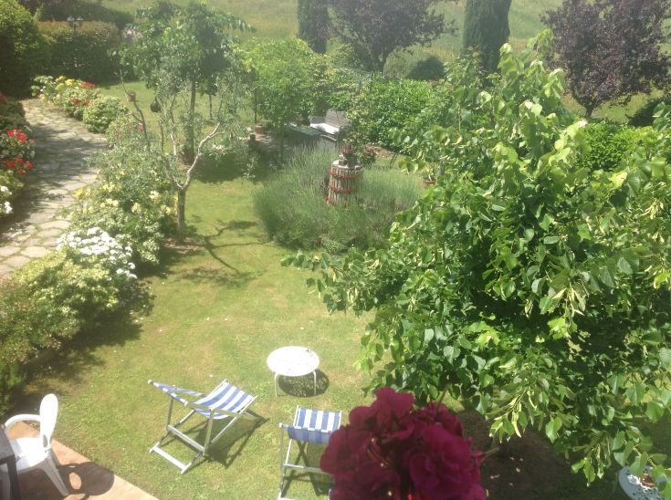 Un giardino soleggiato con diverse piante e fiori, dotato di sdraio per trascorrere momenti di relax.