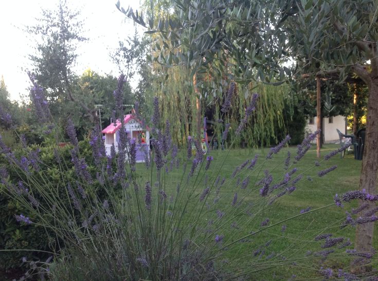 Giardino verde con piante di lavanda e una zona giochi per bambini sullo sfondo.