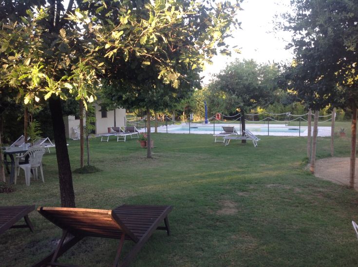 Uno spazio tranquillo circondato dal verde, con piscina e lettini, perfetto per momenti di relax.