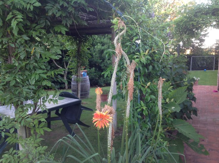 Un giardino ben curato con varietà di fiori colorati e un'area relax attrezzata.