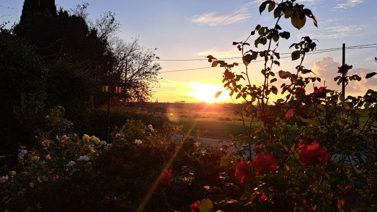 Tramonto nel giardino con fiori variopinti che adornano il panorama serale.