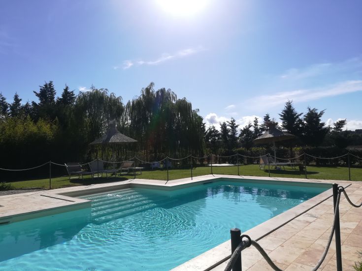 Piscina circondata da vegetazione verde, offre un ambiente rilassante per il tempo all'aperto.