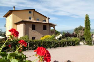 A villa nestled in a well-maintained garden, surrounded by blooming plants and trees in a tranquil setting.