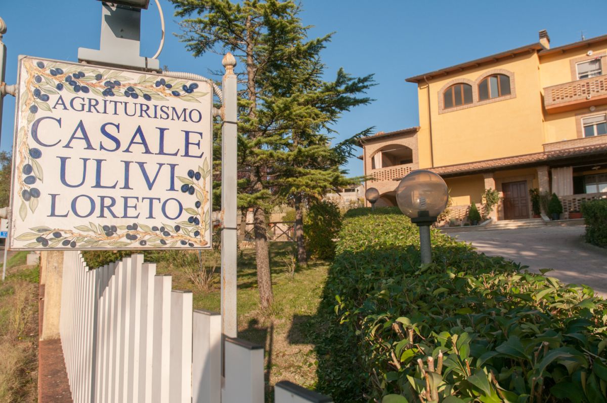 Benvenuti all'Agriturismo Casale Ulivi, un luogo tranquillo per rilassarsi, immerso nel verde delle colline umbre.
