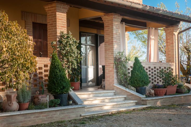 Entrance of a house featuring green plants and simple, yet neatly arranged decorations.