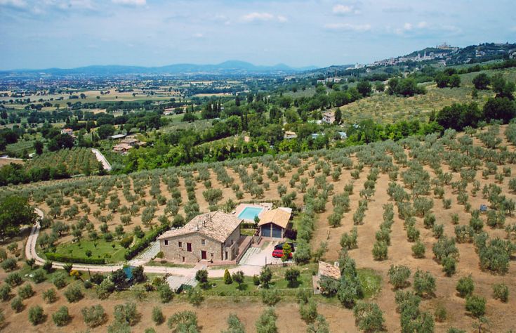 Panorama di Villa Rosy, circondata da ulivi e dotata di piscina, situata a pochi km da una località umbra.